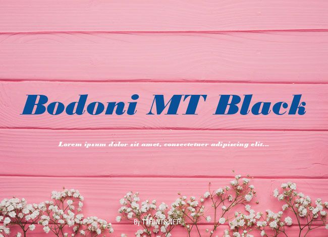 Bodoni MT Black example